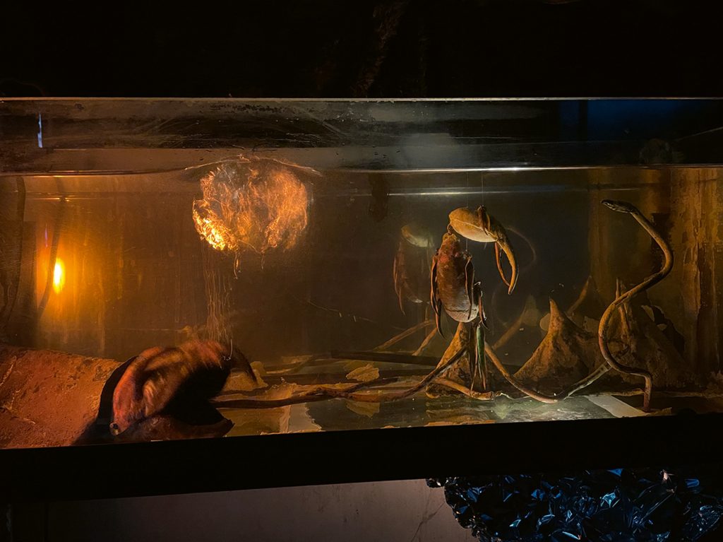 Aqua Bar 1