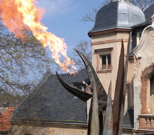 Feuerschnabel